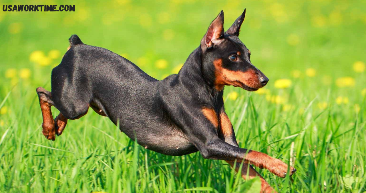 min pin